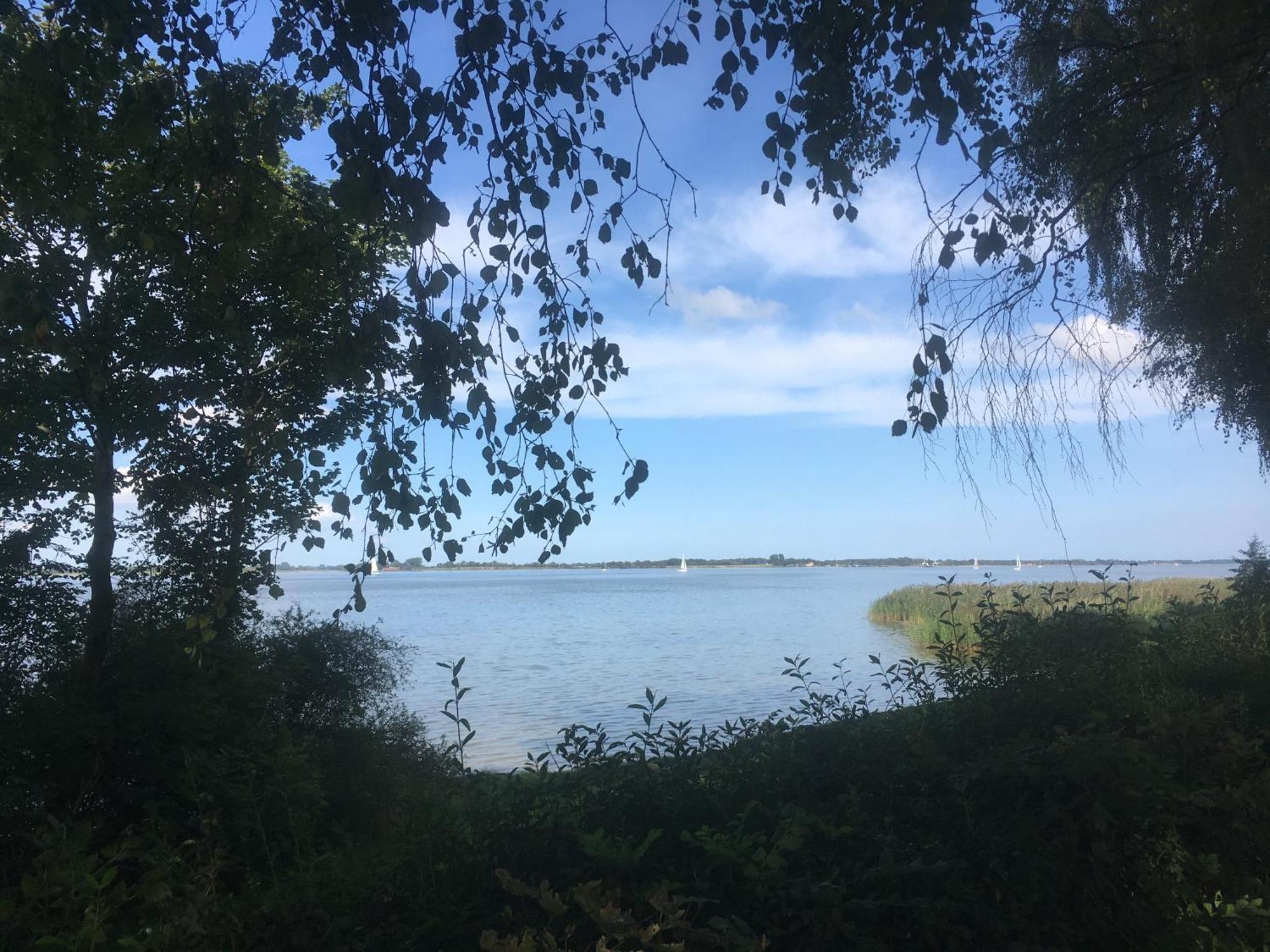 Ferienwohnung Am Strelasund Sundhagen-Niederhof Buitenkant foto